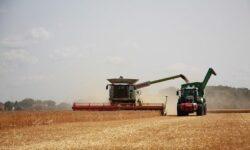 Harvesting is underway nationwide, our country’s bread is assured