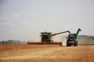 Harvesting is underway nationwide, our country’s bread is assured