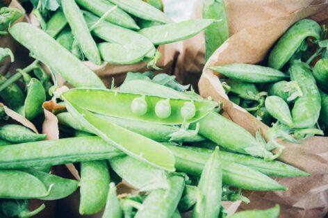 Serious decline in Hungarian green pea production