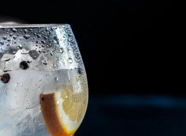 Nébih: 3 out of 27 gins did not meet the requirements
