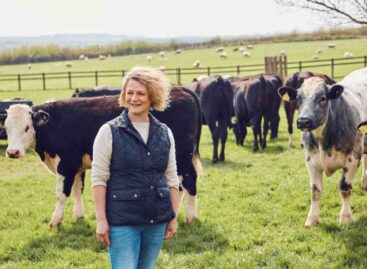Lidl invests £1.5bn in British beef production
