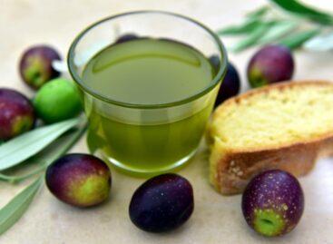 Olive oil fraud ‘at record high in EU’