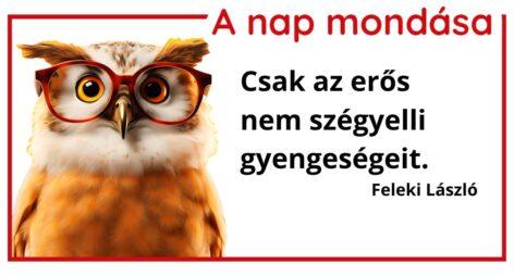 (HU) A nap mondása