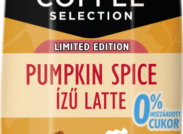 Mizo Coffee Selection Pumpkin Spice flavoured latte