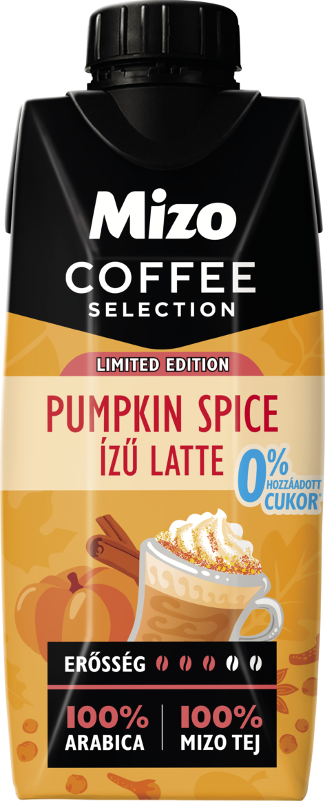 Mizo Coffee Selection Pumpkin Spice flavoured latte