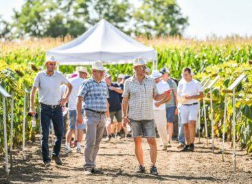 Kimagasló hibridek, hatékony technológia – bemutatta új megoldásait a Syngenta