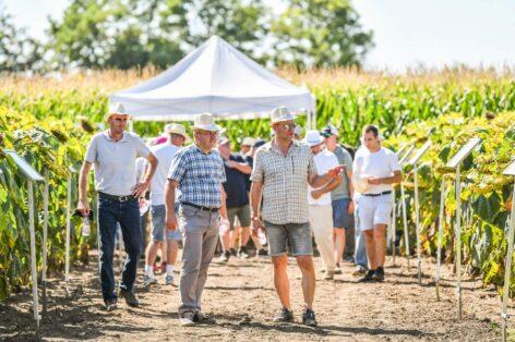 Outstanding hybrids, efficient technology – Syngenta presented its new solutions