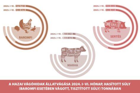 Poultry slaughter increased by 11.9 percent in the first half of the year