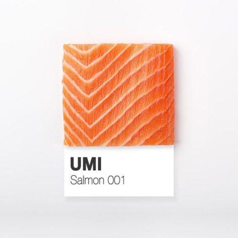 Sushi and the Pantone scale – Image of the day