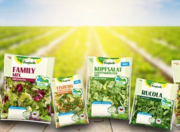 Bonduelle plans France, Germany salad business disposals