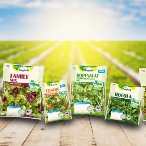 Bonduelle plans France, Germany salad business disposals