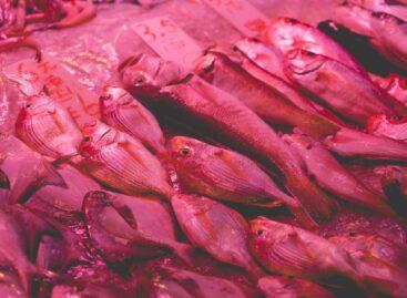 Fish consumption decreases, prices increase