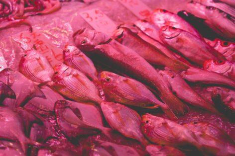 Fish consumption decreases, prices increase