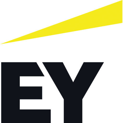 EY Magyarország to launch pioneering new service with globally acknowledged managers