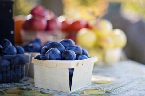 A balanced harvest is expected this year on domestic plum orchards