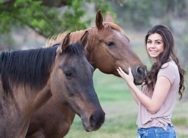 Attention horse owners: protection against