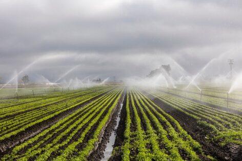 Calls for tenders supporting the development of irrigation for producers can be commented on