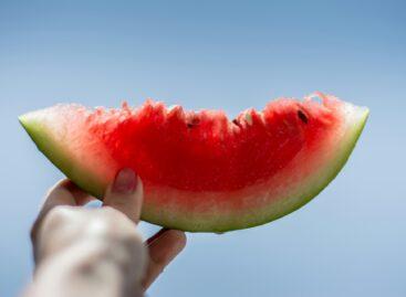 Nébih: the domestic watermelon under scrutiny