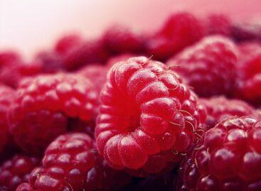 The producer price of domestic raspberries is lower