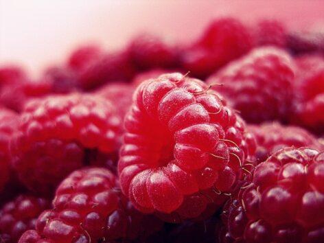 The producer price of domestic raspberries is lower