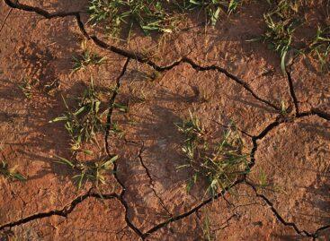 Drought damage in agriculture