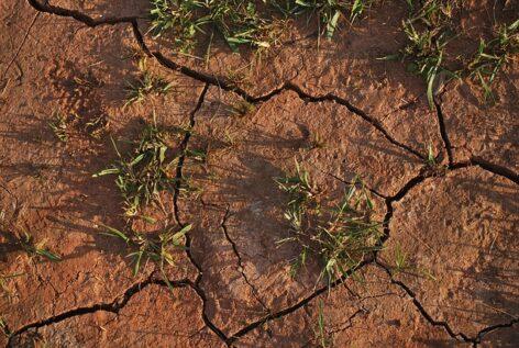 Drought damage in agriculture