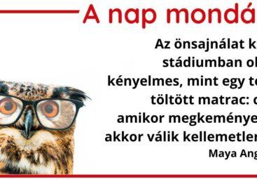 A nap mondása