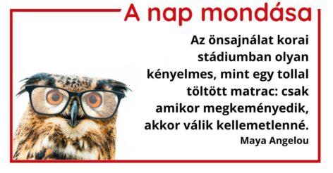 (HU) A nap mondása