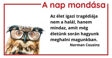 A nap mondása