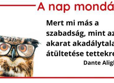 A nap mondása