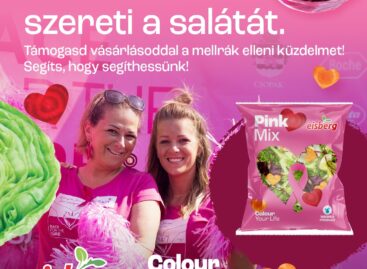 Rózsaszín csomagolású salátával a mellrák elleni küzdelemért