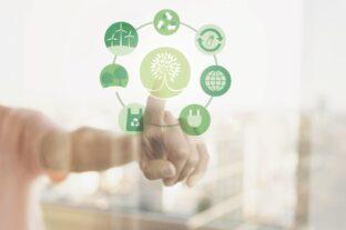 There is no green transition without numerical targets