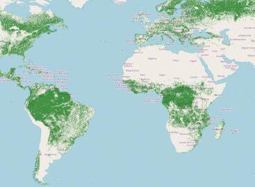 EUDR: a new due diligence obligation for companies to protect forests