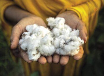 Pepco also joins Better Cotton