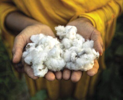 Pepco also joins Better Cotton