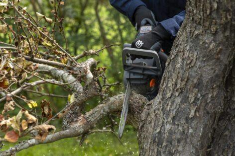 Új eszköz teszi könnyebbé az őszi kerti munkákat