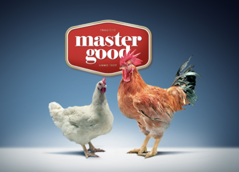 Two brands, one goal: Master Good and Bátor Tábor join forces