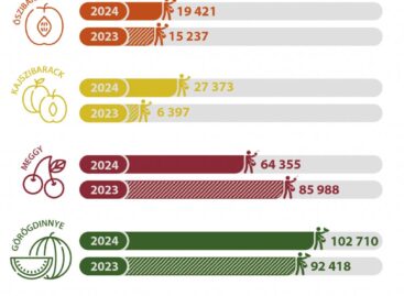 Vegyes eredmények a meggy, kajszi és őszibarack piacán