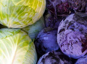 The price of red and head cabbage also increased