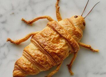 If a croissant can be divisive, this is it – Picture of the day