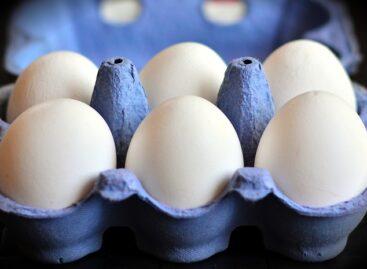 Egg shortage in the United States: Major retail chains have introduced restrictions