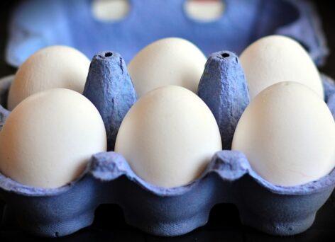 Egg shortage in the United States: Major retail chains have introduced restrictions