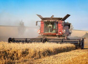 The price of fodder wheat was 14 percent higher than last year