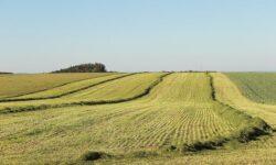 Véleményezhető az „Agrár-környezetgazdálkodási kifizetések” című pályázati felhívás