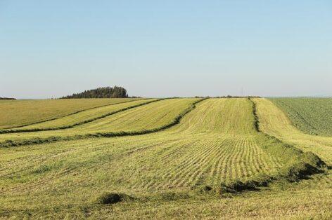 Véleményezhető az „Agrár-környezetgazdálkodási kifizetések” című pályázati felhívás