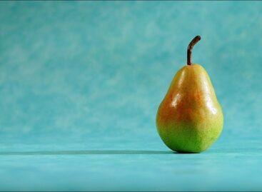 The drought did not spare the pears either