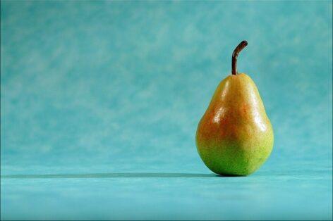 The drought did not spare the pears either