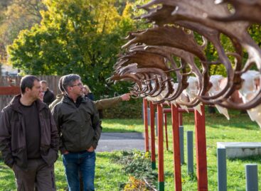 Vadételfőző-versennyel zárul a búcsúszezon a nemzeti kegyhelye