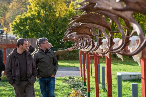 Vadételfőző-versennyel zárul a búcsúszezon a nemzeti kegyhelye