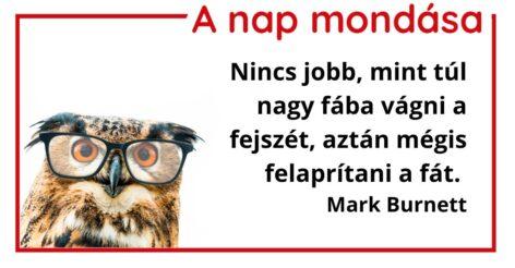 A nap mondása